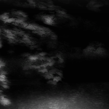 Spooky Halloween Forest in Black & White