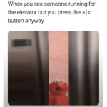 BEANS FANS