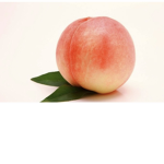 Fruit 그룹