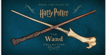 Dark arts and magic’s dueling club