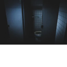 The Bathroom.. icon