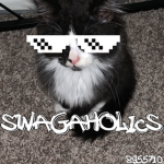 swagaholics