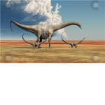 The Diplodocus Herd