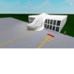 Dani Airport | FlyEagle