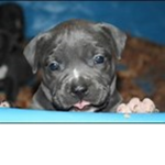 i am soooooooooooooooooooooooooooooooooo borrrrrrd