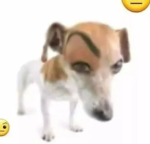 cuhubic