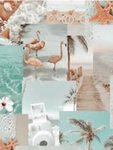COCONUT ISLANDS