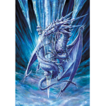 The Drago's