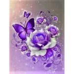 ~ Lovely ~ Fits ~