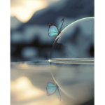 Bᴜᴛᴛᴇʀғʟʏ ᴡᴇɴᴅʏ