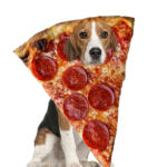 PizzadogA group
