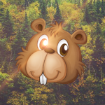 Beaver Productions!