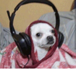 Cudapatlama