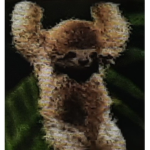Awesome Sloth