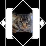Maxibleki
