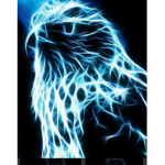 The EyeHawk Empire