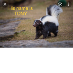 Tony’s helpers :)