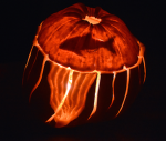 Jellyfish and other sea creatures group!