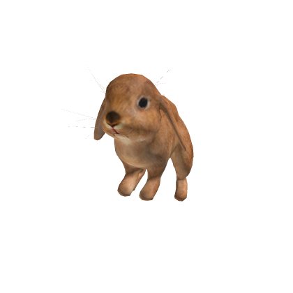 Rabbit bone rig