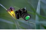 Firefly Media