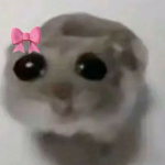 Bread's Cats