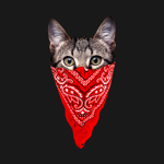 The Gangster Cat Squad