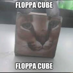 floppa grupo c:
