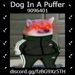 Dog in a Puffer