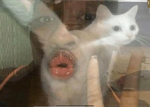 FURRY GR0UP HANG0UT
