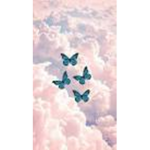 The Butterfly Hood