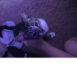 Hayden_07