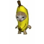 Ahii