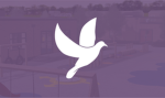 OPS | Oakfield Primary