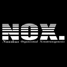 N.O.X. Point