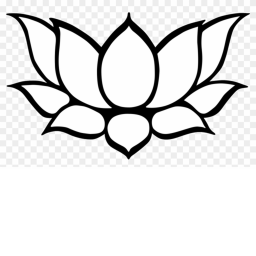 Lotus Dojo