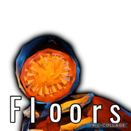 FLOORS