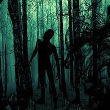 forest in terror for  the web