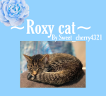 Roxy cat!