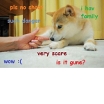 the awsome (not really) doge clan