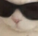 もちもっちー