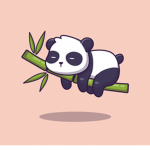 panda club!!!!!