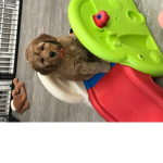 Yay bois