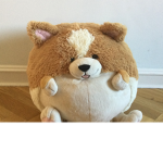 cogi