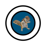THE ALMIGHTY CHIPMUNKS