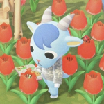 ~*animal crossing club*~
