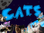 Cats are the best77