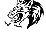 Mrdragon