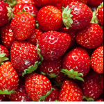 Stawberry land