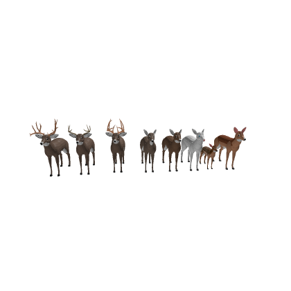 big deer pack ready for game