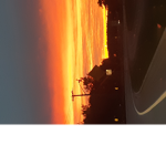 Robux_giving_group2022